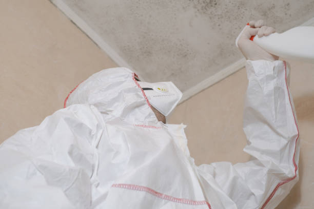 Mansfield, PA Mold Removal Company