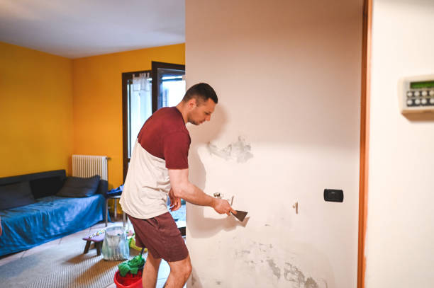 Best Attic Mold Removal  in Mansfield, PA